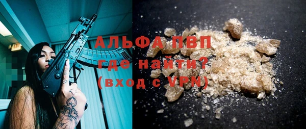 стаф Аркадак