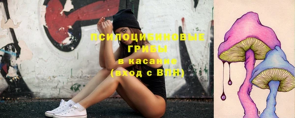 кокс Алексин