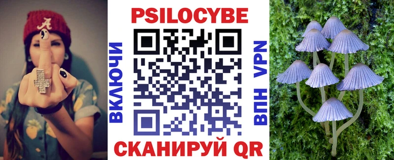 Галлюциногенные грибы Psilocybine cubensis  что такое наркотик  Кольчугино 